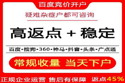 SEM代理服务：案例分享，效果显著