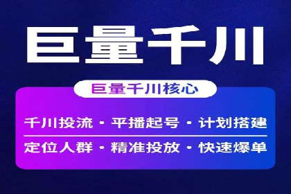竞价推广策略：某电商平台的成功之路